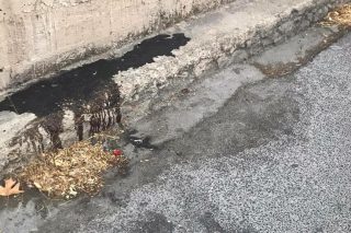 Σιράζ Σαφτάρ